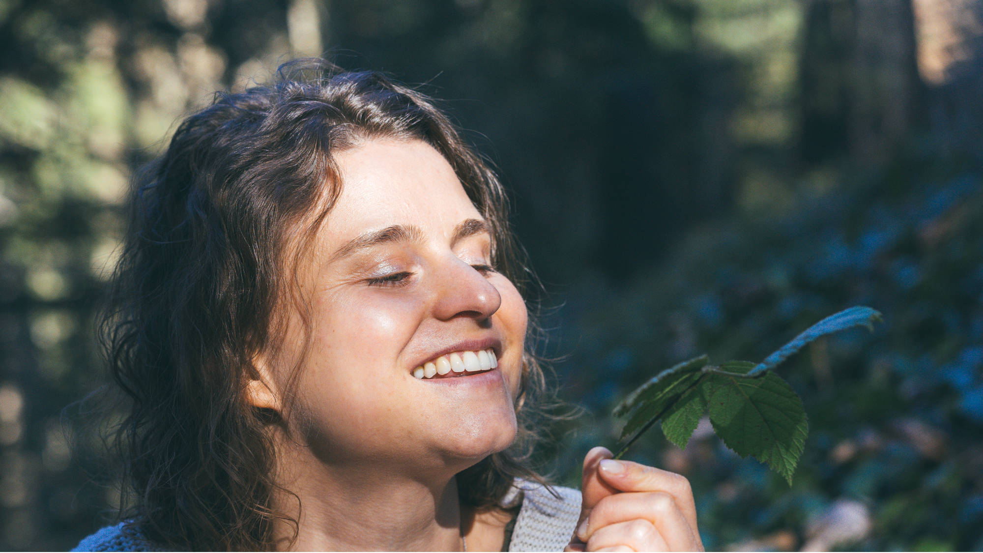 Andrea Schnyder Re:Alignment Essenz Rückverbindung Wahrheit Energie Verbindung Natürlichkeit Codes Echt