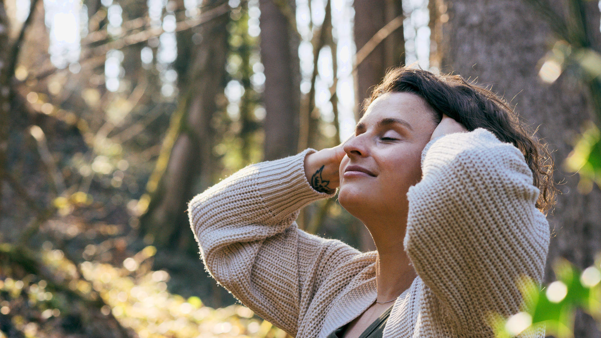Andrea Schnyder Re:Alignment Essenz Rückverbindung Wahrheit Energie Verbindung Natürlichkeit Codes Echt